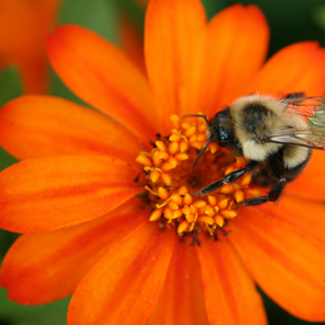 dreamstime_5771491-130dpi-revised